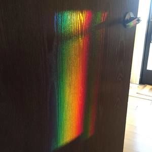 Meet your Posher, Winnie